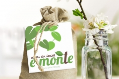 Planta a túa árbore