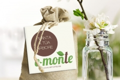 Planta a túa árbore